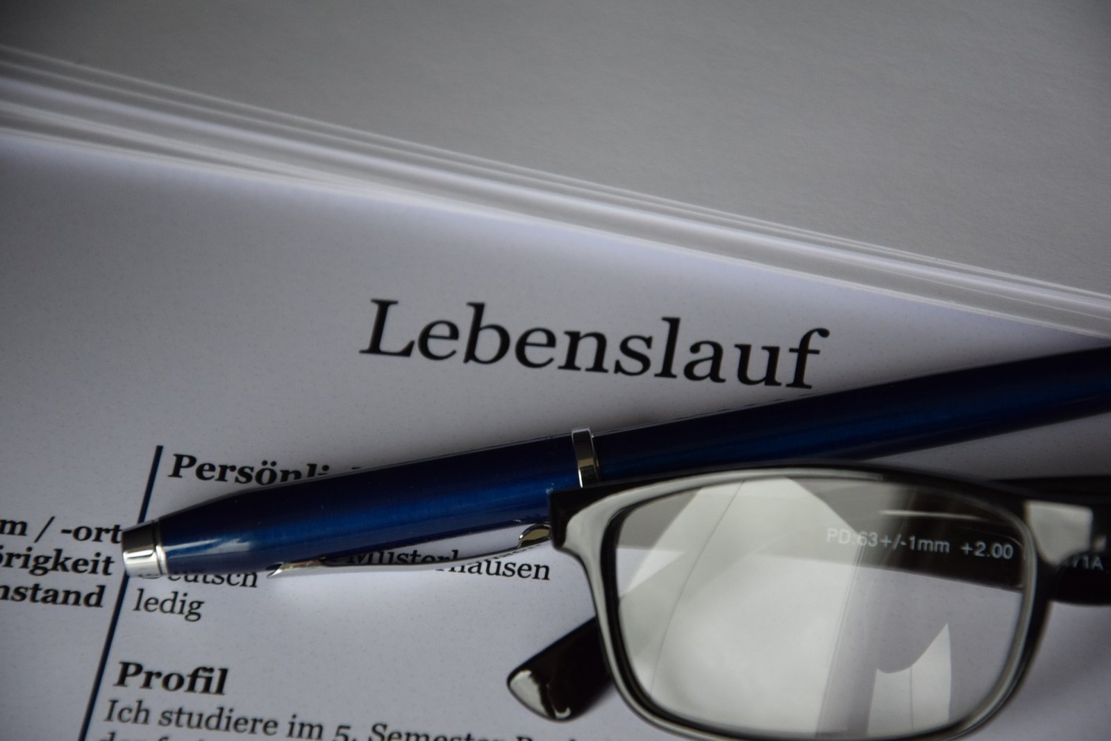 Der perfekte Lebenslauf